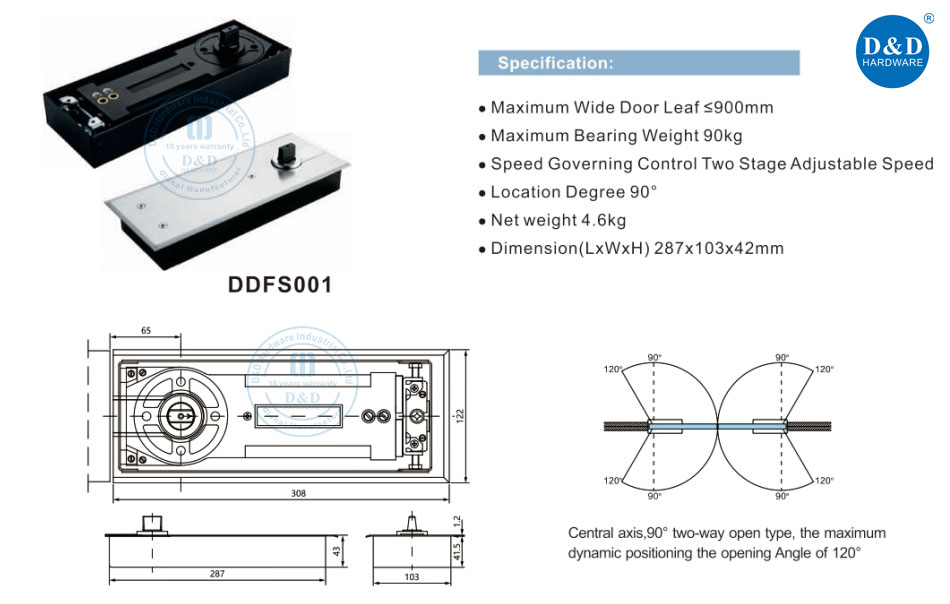 DDFS001
