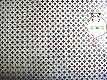 Sprying Decorative Perforated Panel
