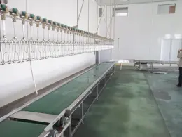 Crates conveyor at live bird reception