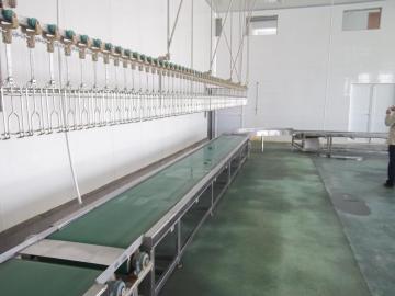 Thùng băng tải tại quầy tiếp nhận chim sống