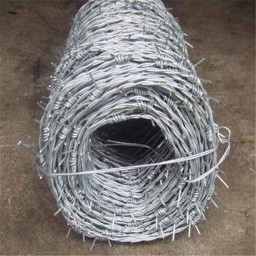 Barbed wire Galvanized PVC coated Barbed wire