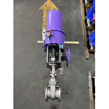 Stainless gate valve with pneumatic actuator