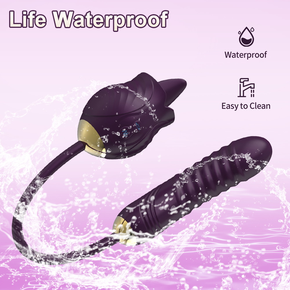 Female Internal and External Vibration Toy