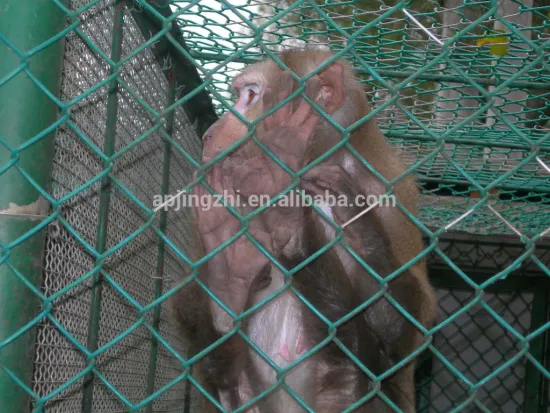 China manufacturer supplyer cheap chain link fencing