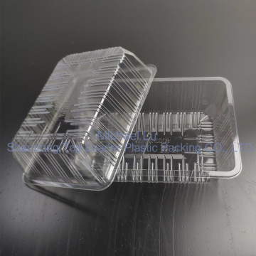 Caixas de recipiente transparente de pet -prolotes