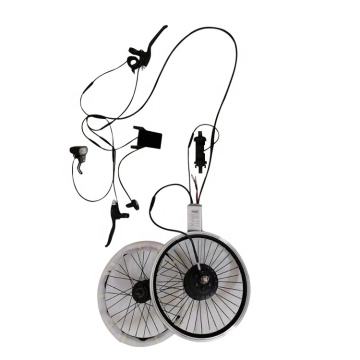 CE/EMC Approved 36V 250W Electric Bicycle Conversion Kit - Hot Sale