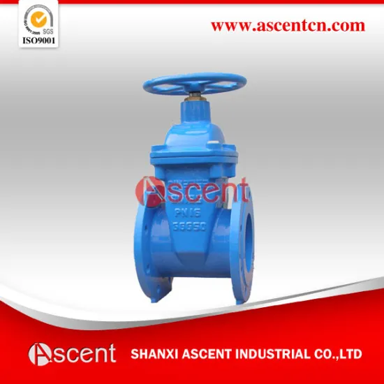 5" inch Gate Valve