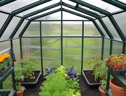 Beautiful design home garden use PC greenhouse polycarbonate