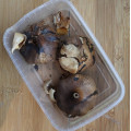 Best Quality Fermented Black Garlic For Sale