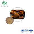 Hericium Erinaceus Extract - Wholesale Polysaccharides 30%-50% for Nutraceuticals