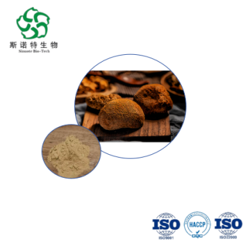 Hericium Erinaceus Extract - Wholesale Polysaccharides 30%-50% for Nutraceuticals