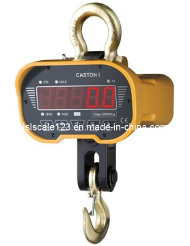 Electronic Crane Scale