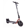 Pinakabagong disenyo 350W Electric Scooter 10 Inch