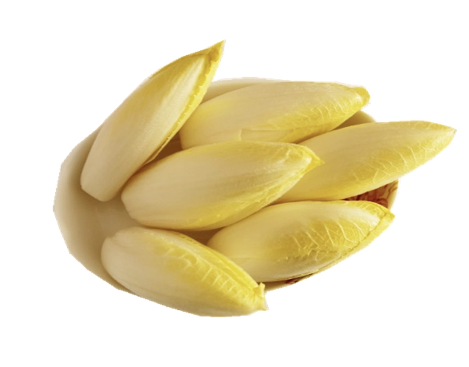 Natural Chicory Extract Powder