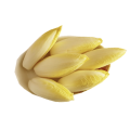 Polvo de extracto de achicoria para suplementos dietéticos