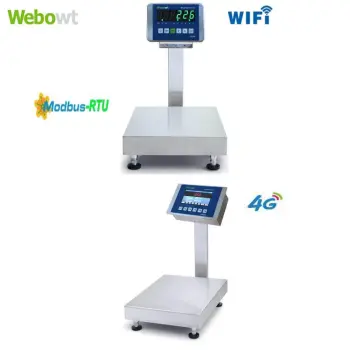 High Precision Digital Scale