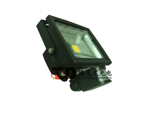 Waterproof 40 Watt Sensor Led Flood Light For Factory , Beam Angel 120 Degree