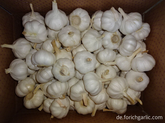 Pure White Garlic