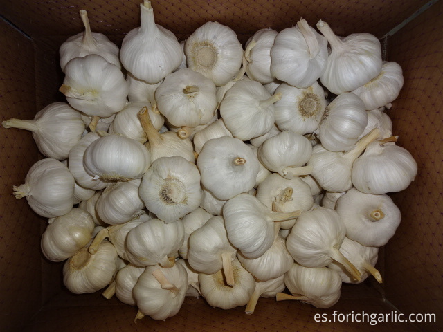 Pure White Garlic