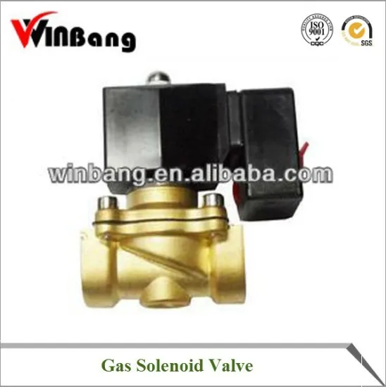 Energy Saving Gas Solenoid Valve Model:WB-2T-20J
