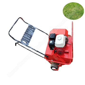 Golf çimleri ve bitki koruması için taşınabilir benzin yumruk havalandırıcı itme makinesi
