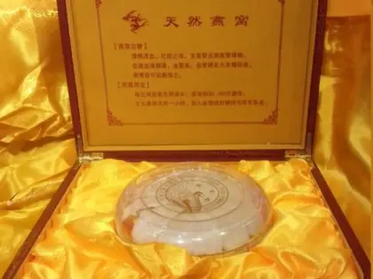Bird's nest