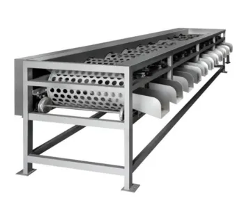Factory Direct Supply: Citrus Grading Machine & Fruit Screening Equipment - Price