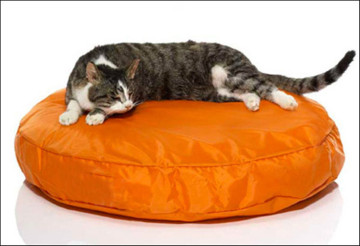 Round dog bed bean bag waterproof