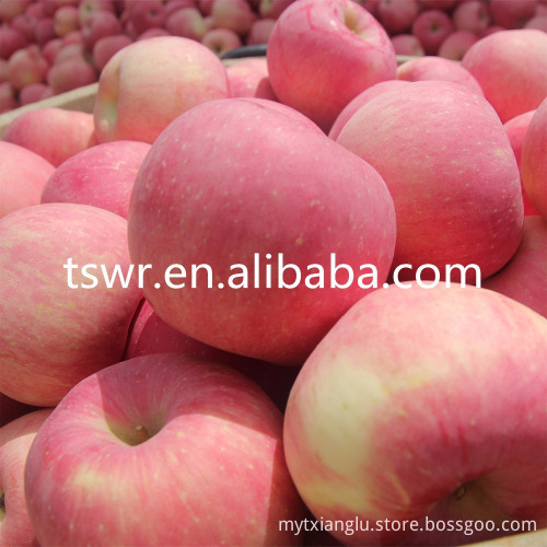 all varieties of new fresh fruits red fresh apples wholesaler