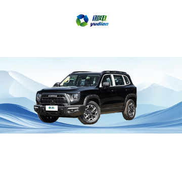 2023-2024 HAVAL DARGO DAGOU SUV-1,5T/2,0T 7DCT 5-drzwiowy 5-letni samochód benzynowy