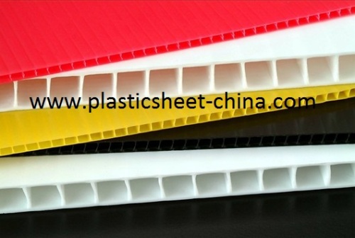 PP Hollow Sheet/Division with Corona Treated for Packaging and Advertising