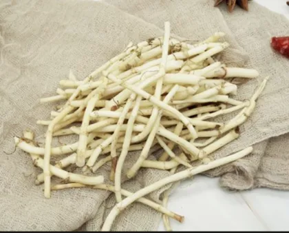 Houttuynia Cordata Extract Powder for Dietary Supplements
