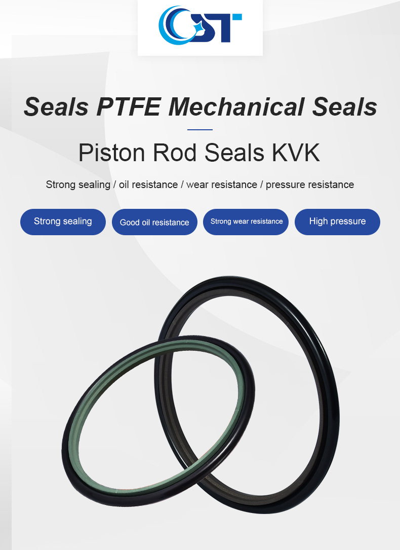 Rs Rod Seals