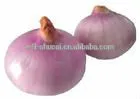 Automatic Onions Peeler/Automatic Onion Peeling Machine