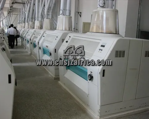 100t/24h Wheat flour Milling line turnkey project