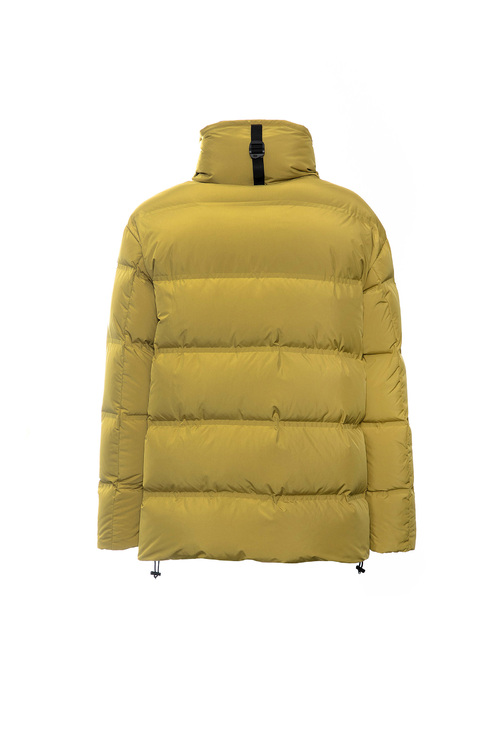 Yellow2 Jpg