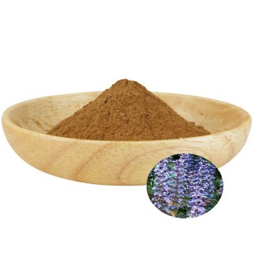 เพิ่มกล้ามเนื้อ Ajuga turkestanica Extract Powder