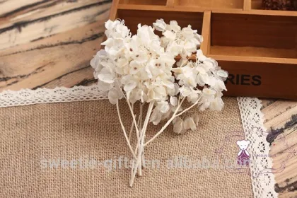 preserved butterfly flower