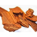 Pausinystalia Yohimbe Extract
