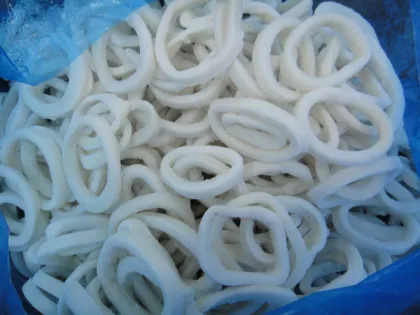 Frozen squid ring , high quality and good price