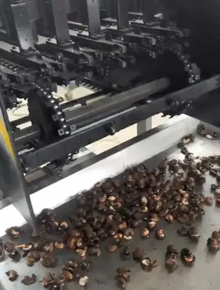 Cashew Nuts Cleaning Line