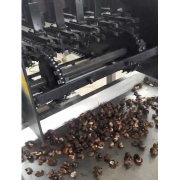 Cashew Nut Pelling Shelling Cleaning Machine Plant