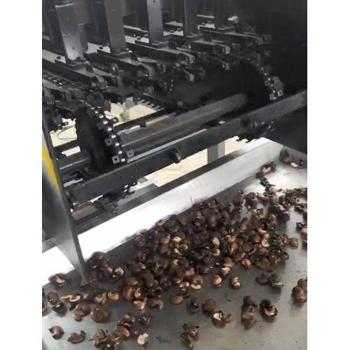 Nut mặt đất Nut Peeling pháo kích Hulling máy