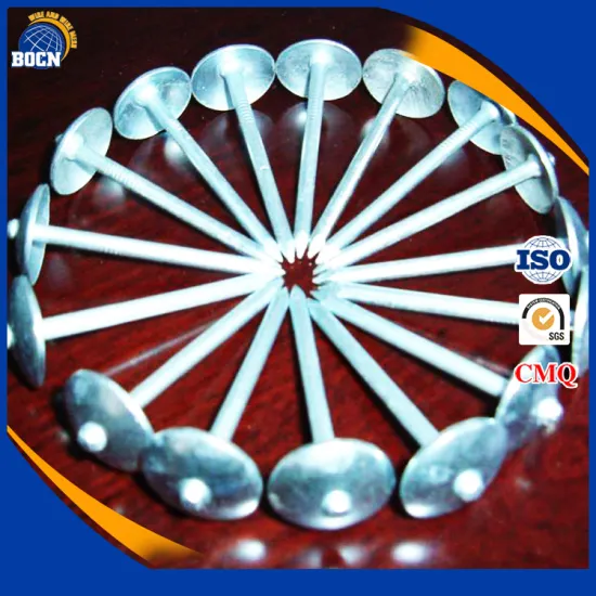 best price umbrella head twisted smooth shank roofing nail