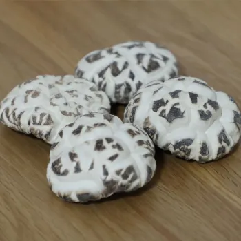 Fine white mushroom