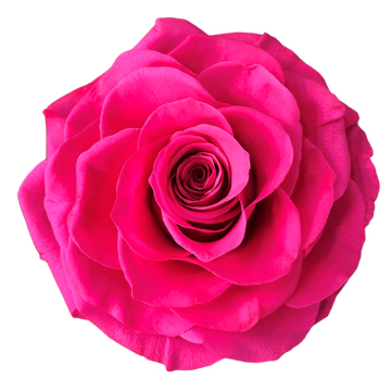 Customized DIY Handcraft Preserved Rose Heads for Home and Wedding Decorations