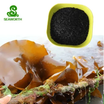 Superior Quality Seaweed Extract Fertilizer: Enhancing Soil Nutrition and Plant Growth