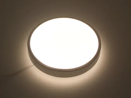 Factory Price Ultra Thin Ceiling Light