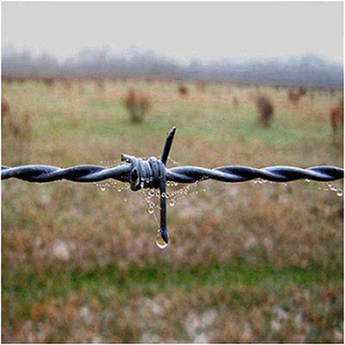 high quality whole sale galvanized barbed wire