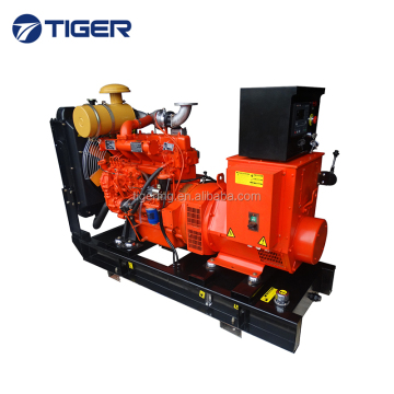 Diesel Generator Battery Charger - Good Price for Sale